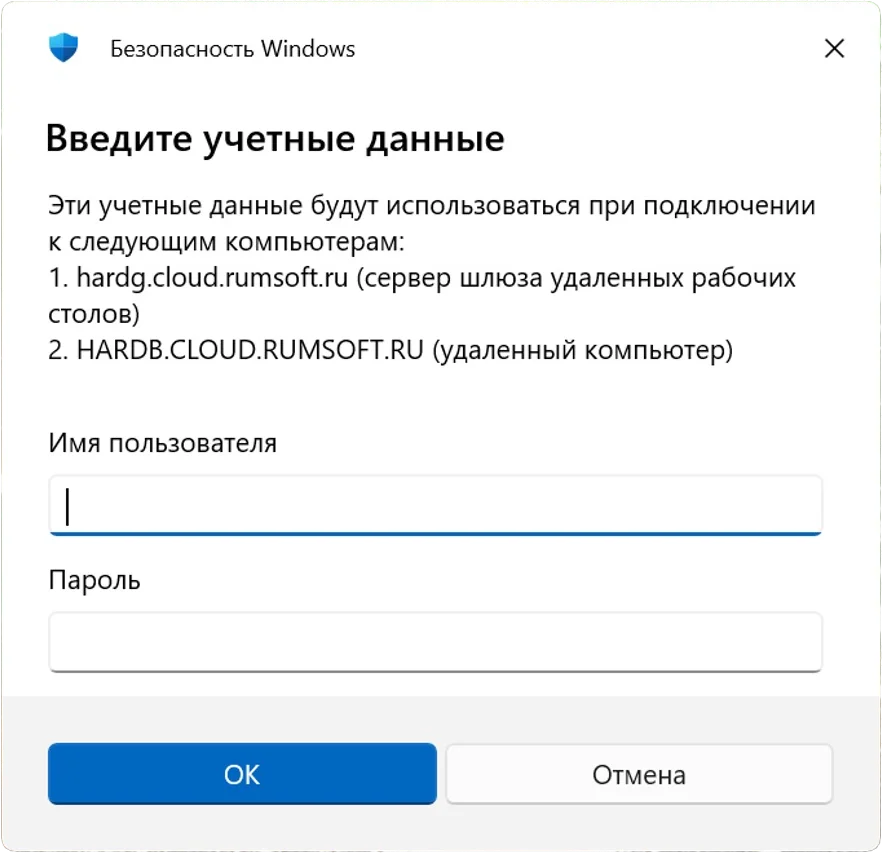 Ввод логина и пароля Rumsoft в окне Безопасность Windows